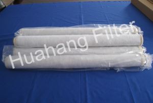 ろ過のホット販売コアレッサ